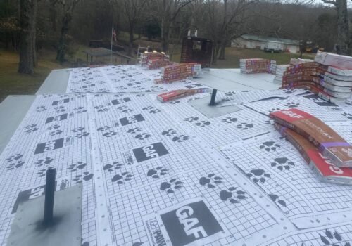 143069033_3709128565823468_5997322939106997098_n