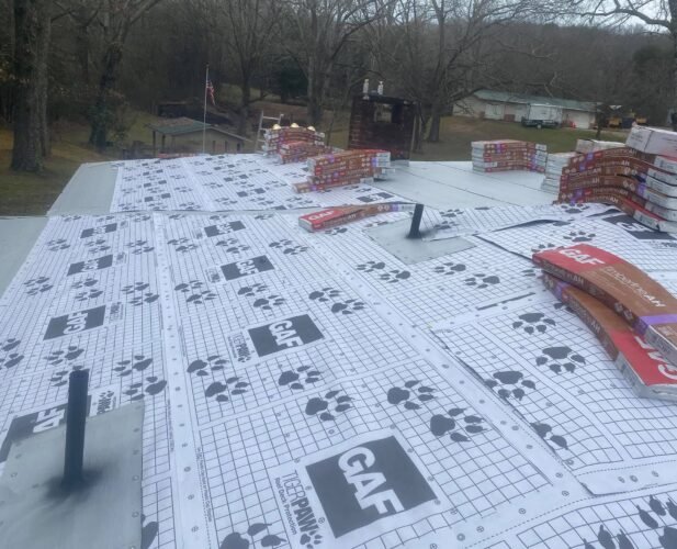 143069033_3709128565823468_5997322939106997098_n