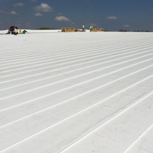 TPO Roofing5